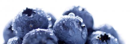 Glasnische BLU Motiv, Blueberry, ohne Logo
